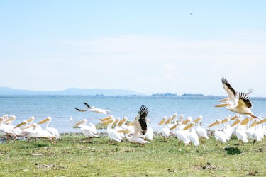 Full-day Lake Naivasha, Hell’s Gate, and Crescent Island boat ride tour